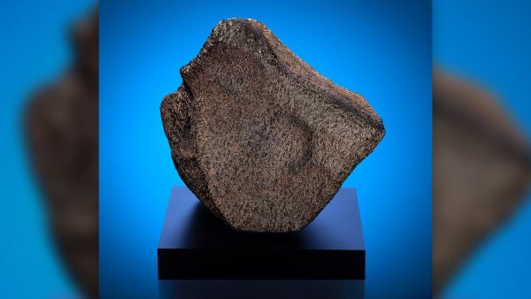 World's largest Martian meteorite goes on display