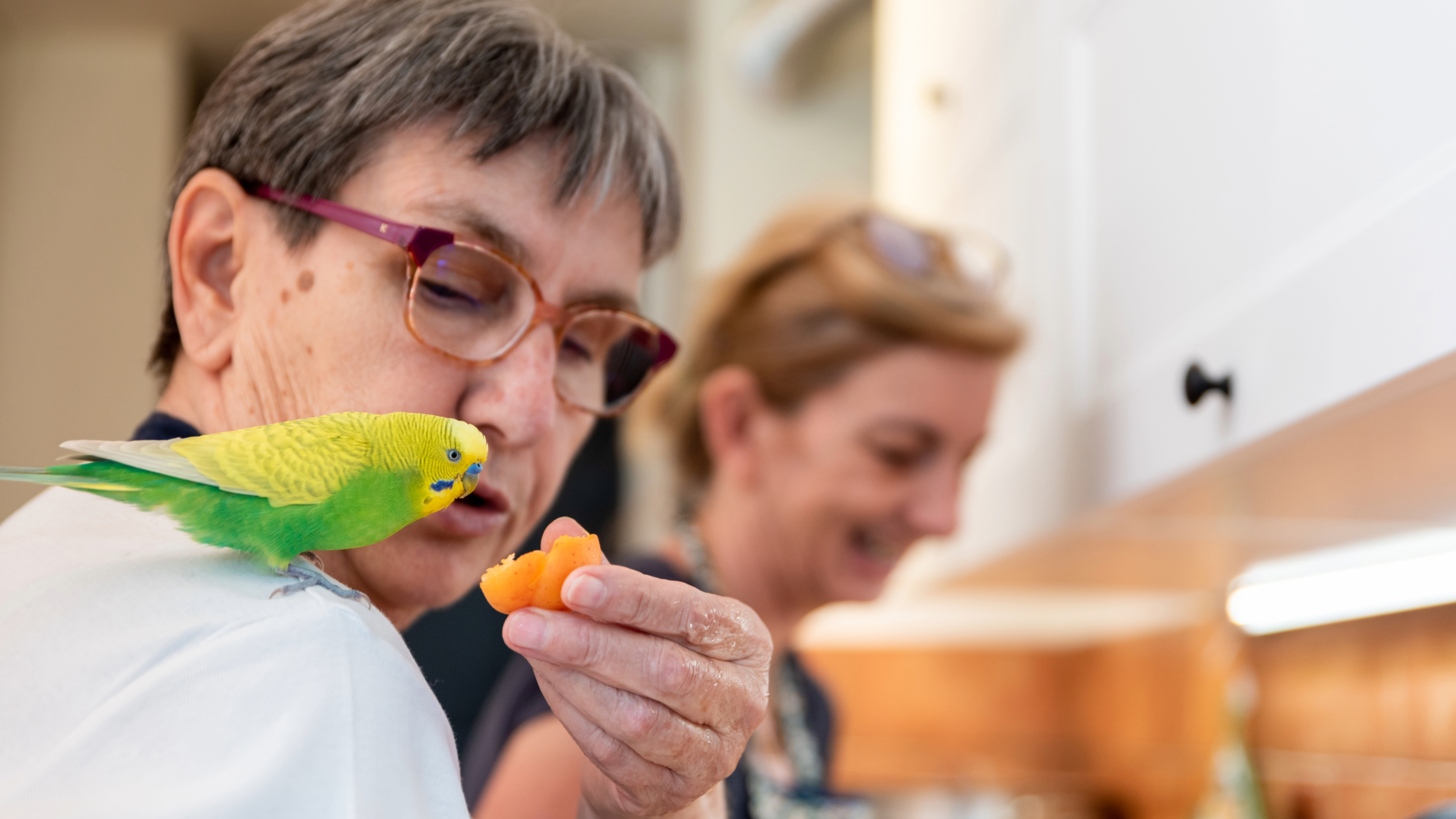 Woman feeding bird