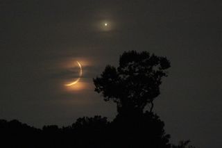 Moon and Venus Over Calhoun, Georgia