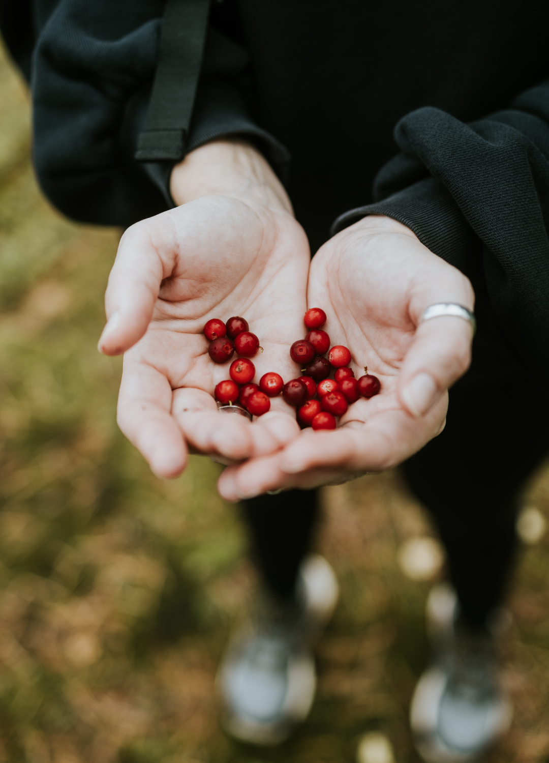 Foraging in Finland