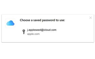 Icloud Passwords Extension Chrome Windows