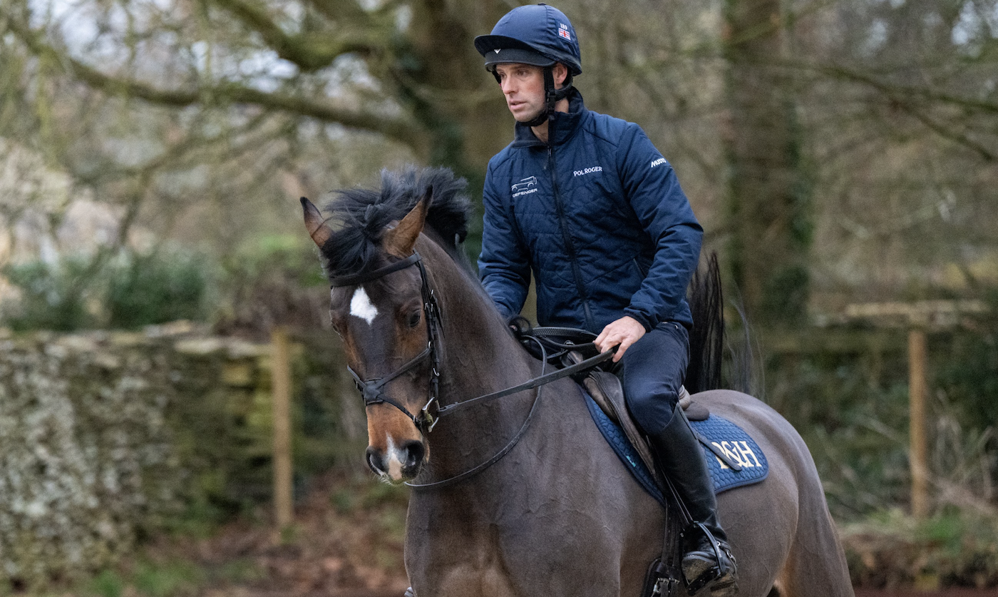 Harry Meade cantering dark bay horse