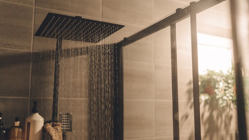 A square shower head in a sunlit bathroom