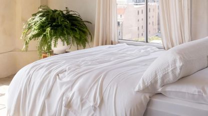 Cozy Earth bamboo bedding on a bed against cream walls with a houseplant in the corner and a window with a city view.