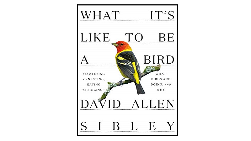 bird books
