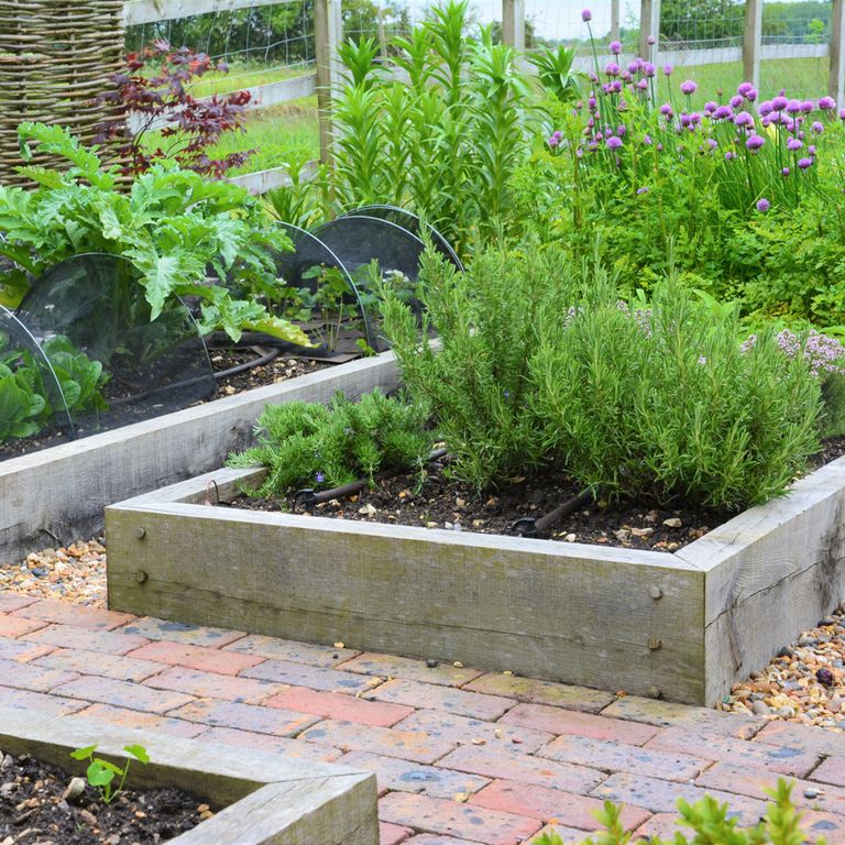 Sustainable Gardens – Eco Friendly Ideas For Your Outdoor Space | Ideal ...