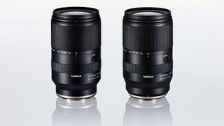 Tamron 18-300 mm F/3.5-6.3 Di III-A VC VXD