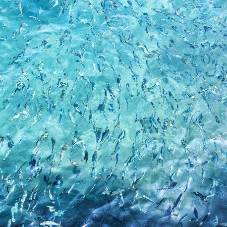 Blue, Water, Aqua, Turquoise, Azure, Pattern, Turquoise, Freezing, Frost, 