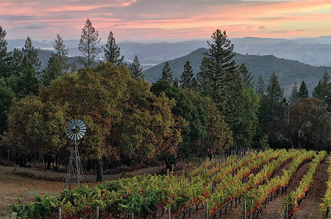 Lagier Meredith Vineyard