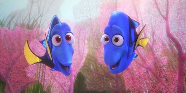 Finding Dory