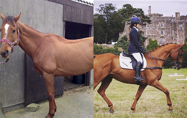 “This is Jackers. I’ve had him for almost three years. He is has a huge character and can be incredibly ‘spirited’ at shows so I’ve been taking it steady with him. We have had many ups and downs, but I love him to pieces and wouldn’t swap him for the world. The fact that I can see a huge difference in his behaviour and attitude to work is all I need to keep going with him. Every summer that passes, we achieve something bigger and better. I can’t wait to see where we end up” — Jemma Harding