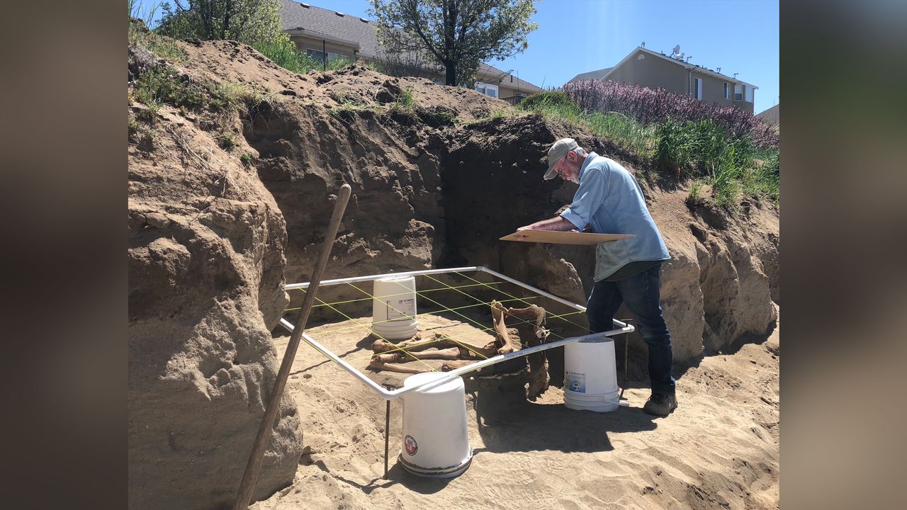 Paleontologist Rick Hunter excavates the Lehi horse skeleton from a backyard in Utah.