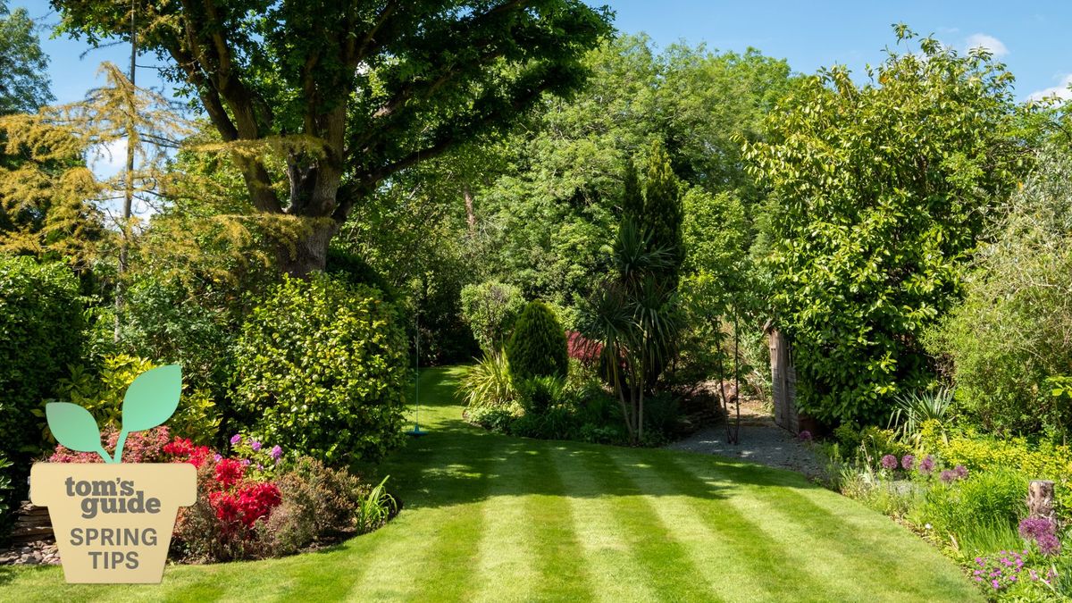 a pristine green yard with lawnmower lines surrounded by trees with a blue sky