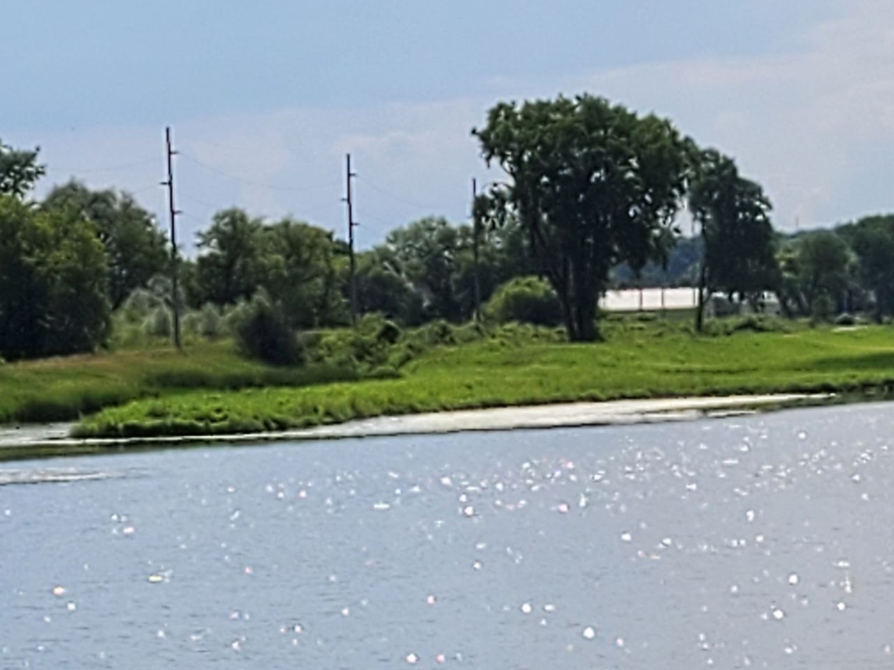 Samsung Galaxy Z Flip 5G camera samples