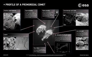 Profile of a primordial comet.