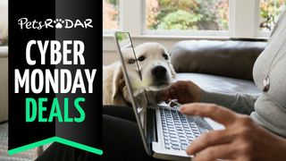 Cyber Monday pet deals 