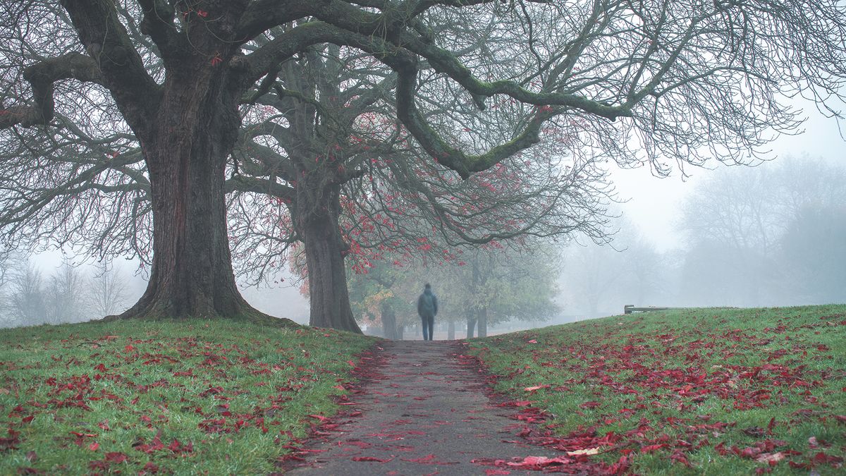 How to capture photographs of a misty scene