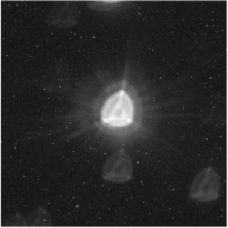 An image of the star HD 88111, taken by the European Space Agency's Characterizing Exoplanet Satellite (CHEOPS) during its in-orbit commissioning in early 2020. The star is located 175 light-years away from Earth in the Hydra constellation. Cheops took an image of this star every 30 seconds for 47 consecutive hours to demonstrate the stability of its instruments.