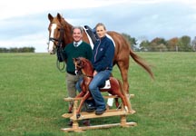 Toytown_rockinghorse.jpg