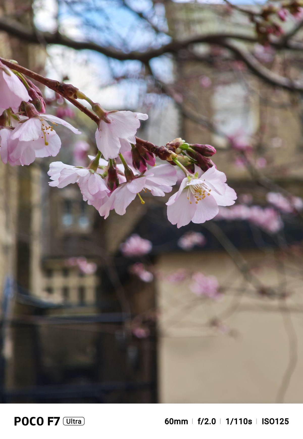 A photo captured on the Poco F7 Ultra