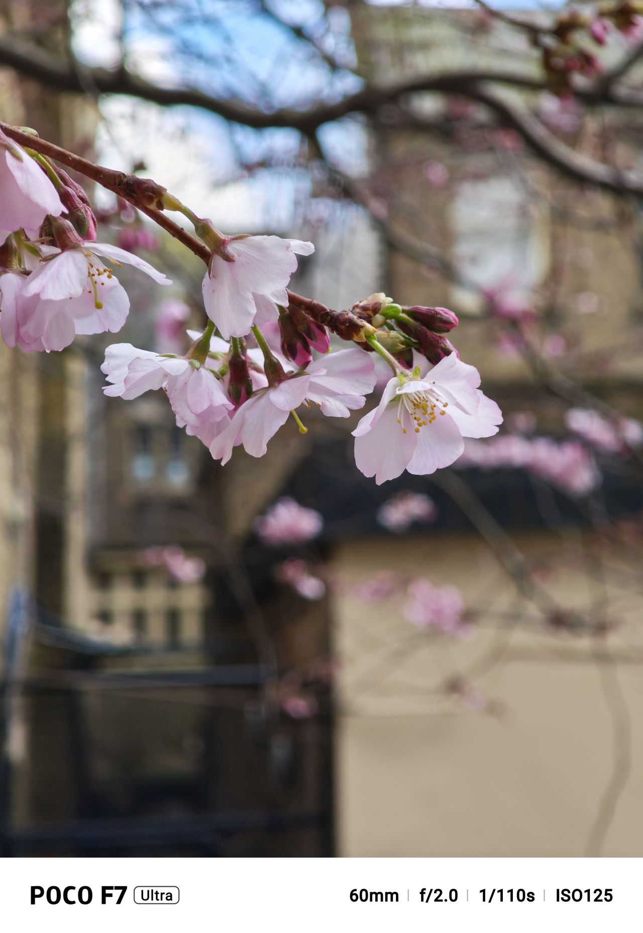 A photo captured on the Poco F7 Ultra