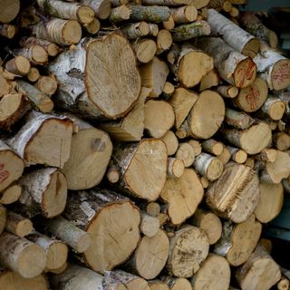 A wood log pile