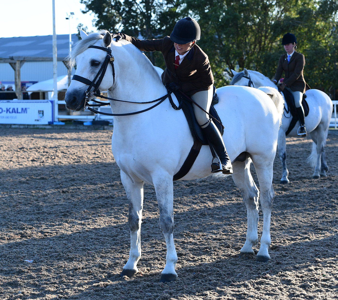Heritage Show 16.10.2266529