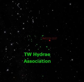 A newly scrutinized brown-dwarf binary system appears to be a member of the so-called TW Hydrae Association, about two dozen young stars that move together near the sun's neighborhood.