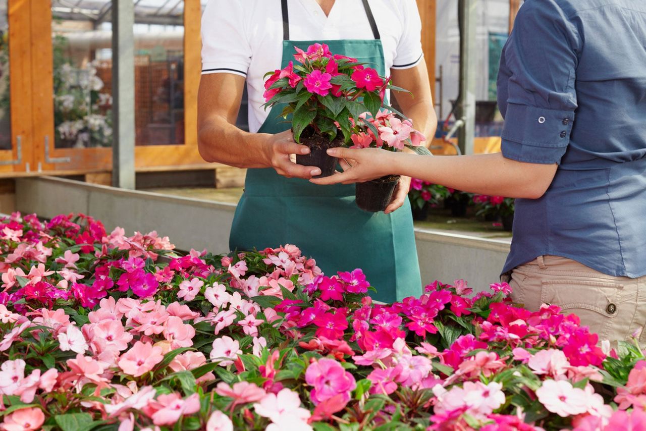 Worker And Customer In An Indoor Garden Center