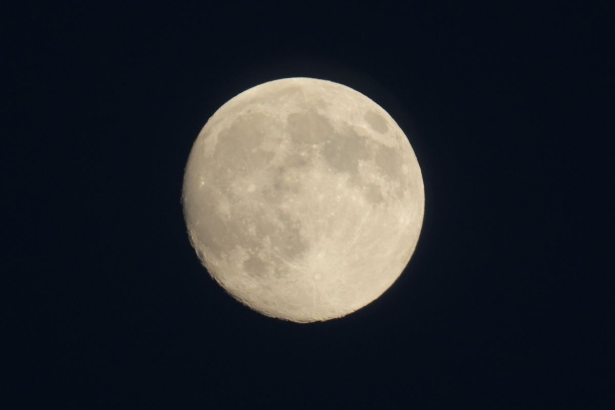 A photo taken on a Sony A7 V mirrorless full frame camera