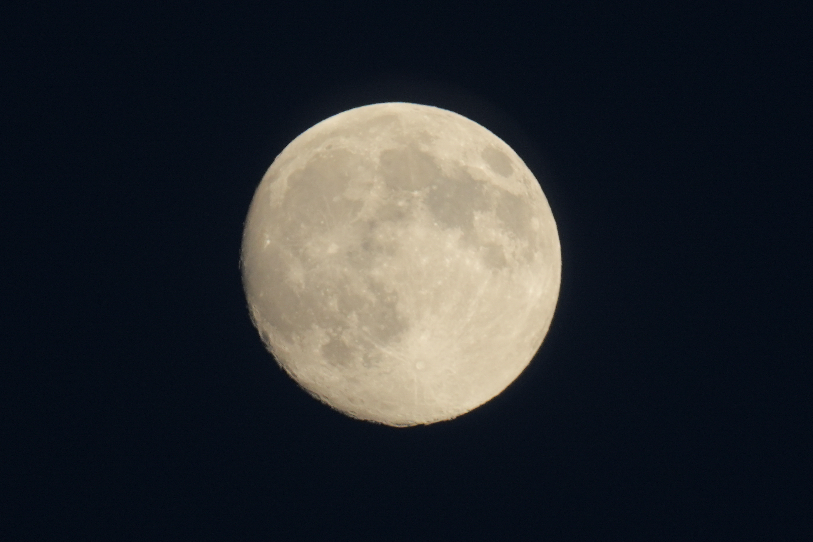 A photo taken on a Sony A7 V mirrorless full frame camera