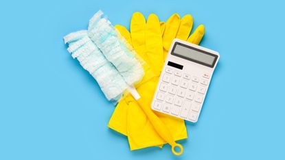 Picture of marigolds with calculator and duster