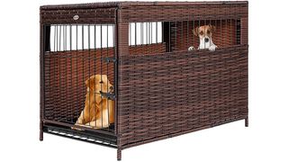 Dog in crate table