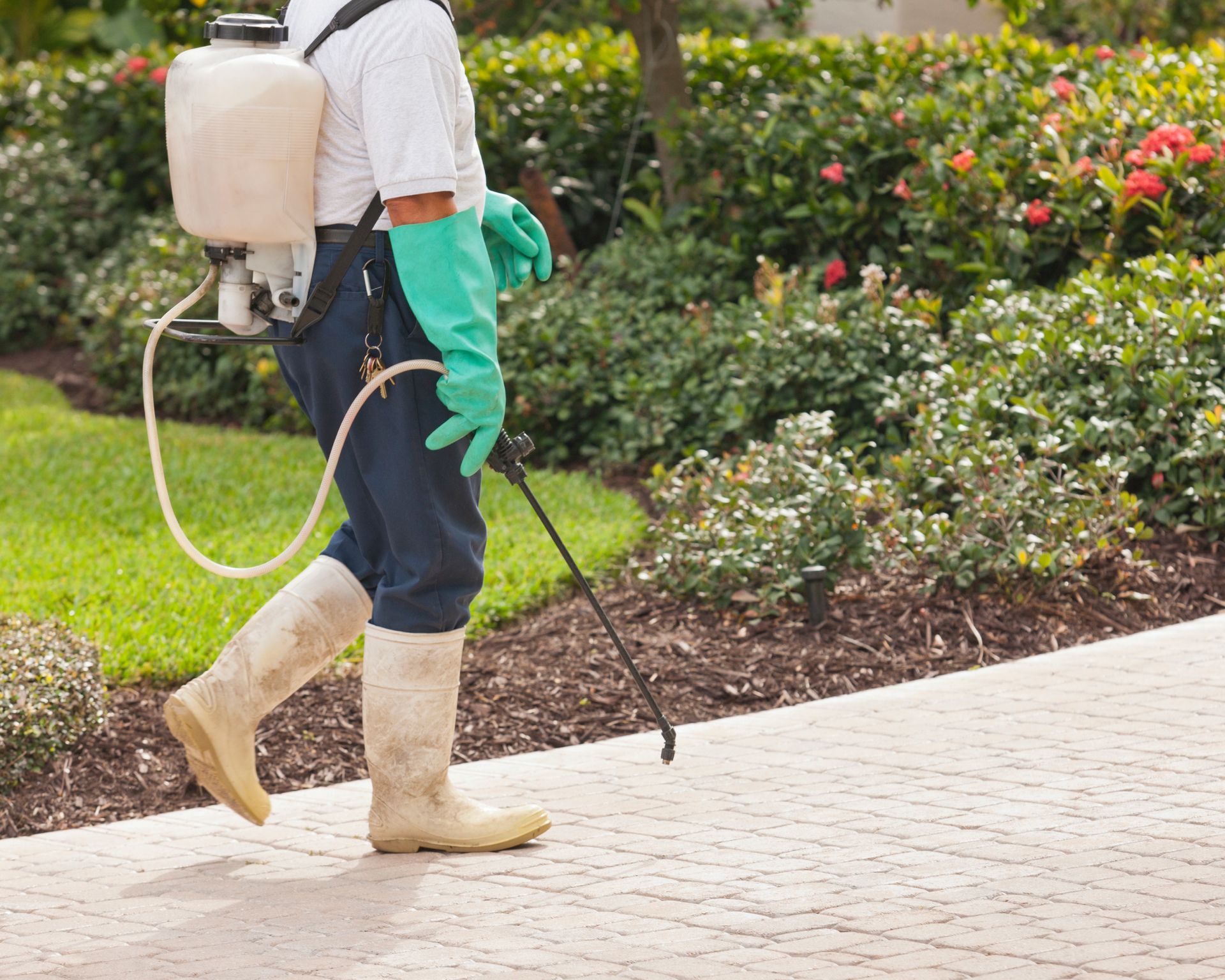 Lawn care professional spraying patio pavers with weed killer