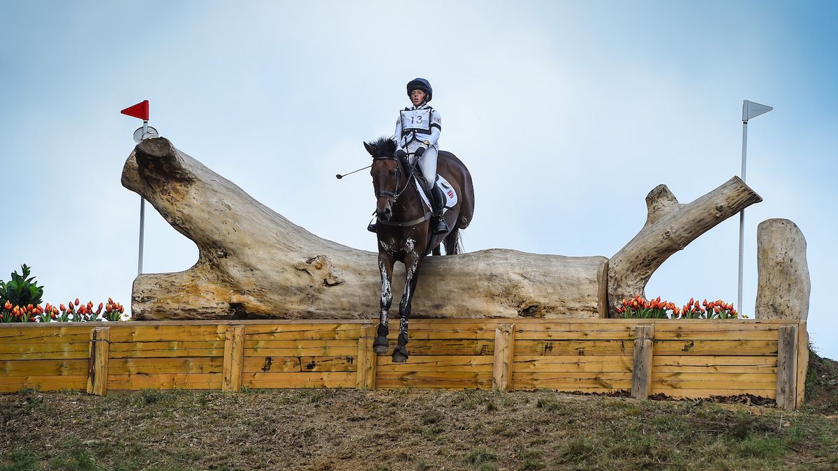 Wegaland Scibling Ride Full sibling embryo to Ros Canter’s top ride sold to US buyer in ...