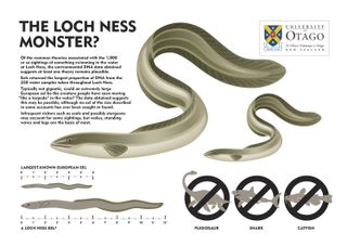 The team didn't find any DNA from plesiosaurs, catfish or sharks in Loch Ness – but they couldn't rule out that Nessie is an overgrown eel.