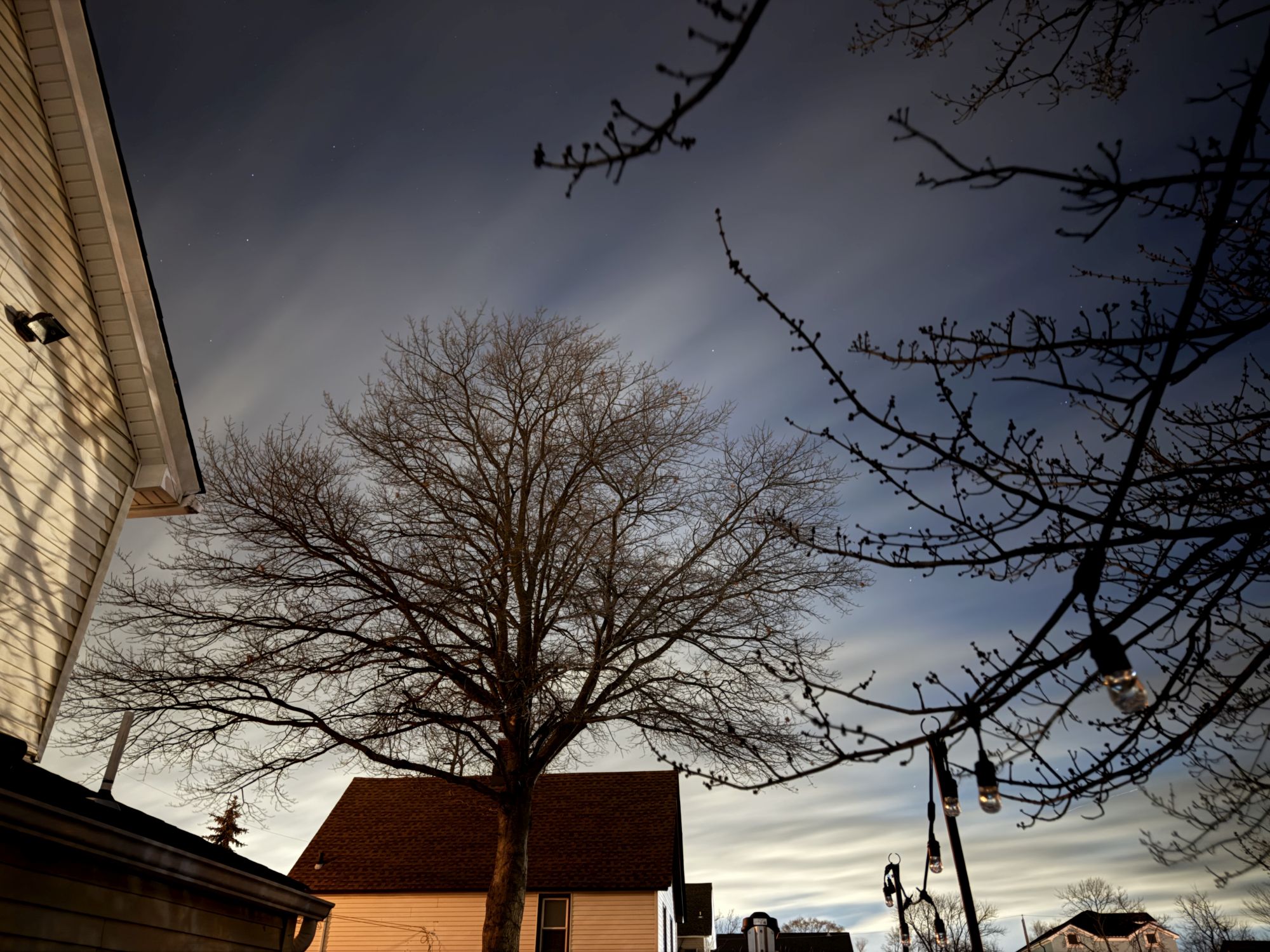 iPhone night mode max sample.