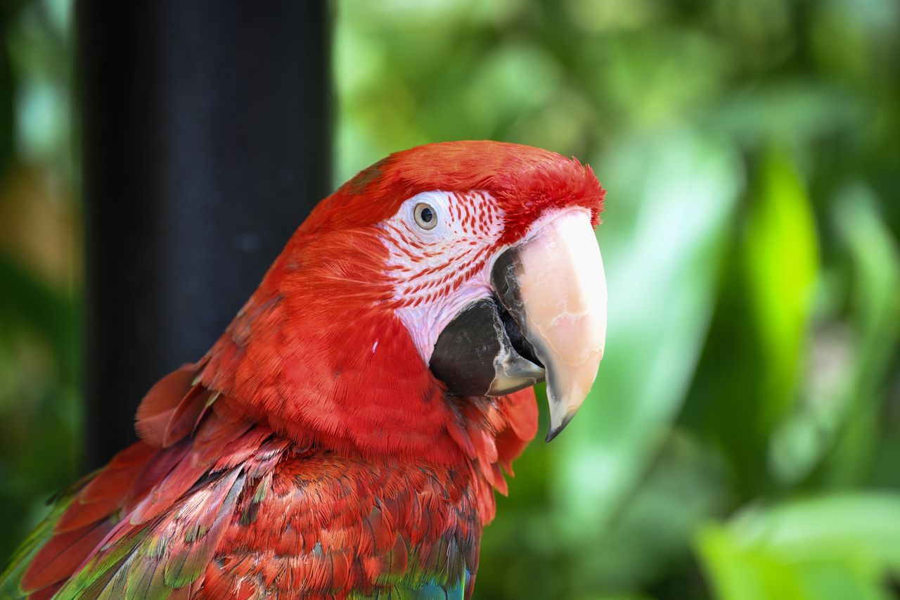 Nikon D850 sample image