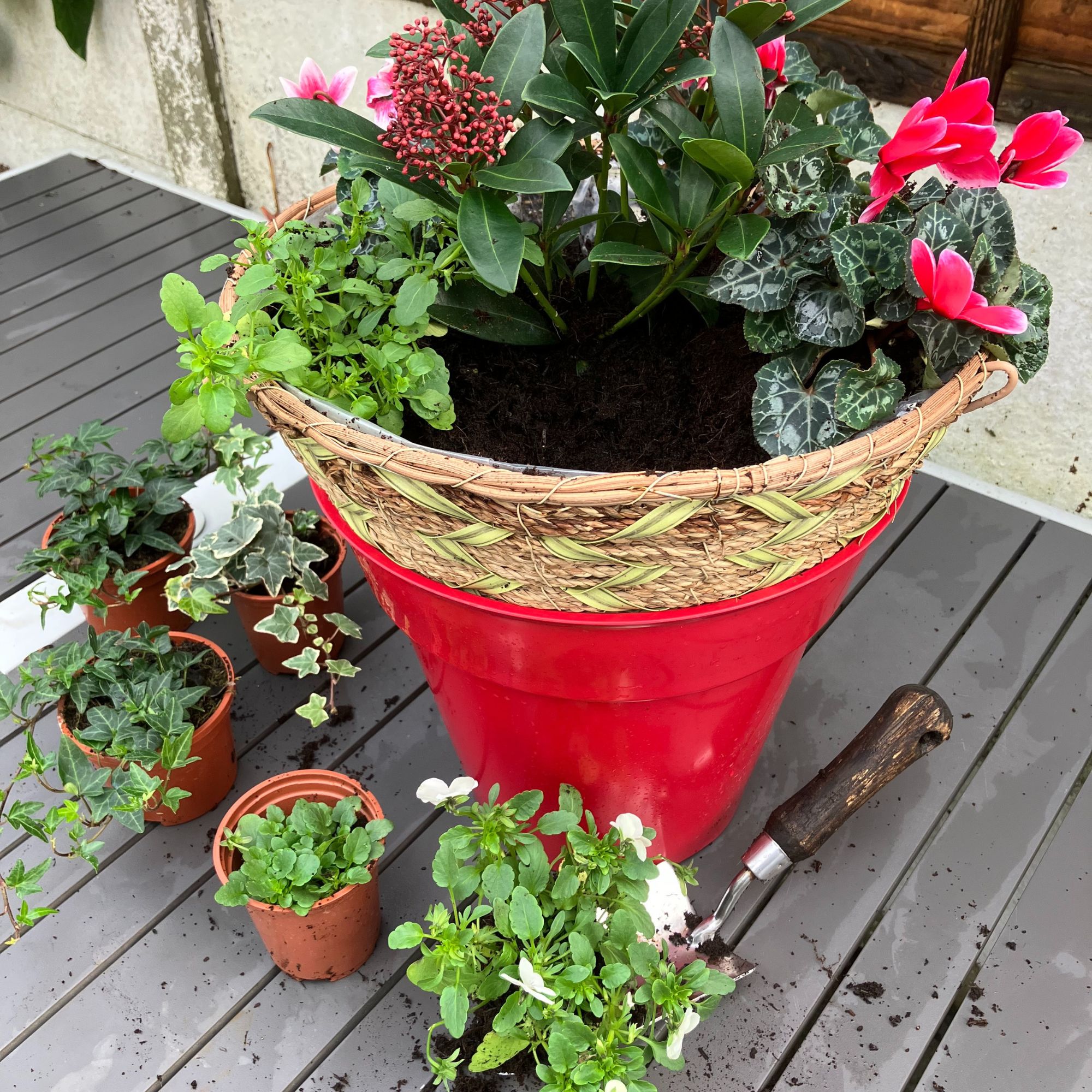winter hanging basket planting up
