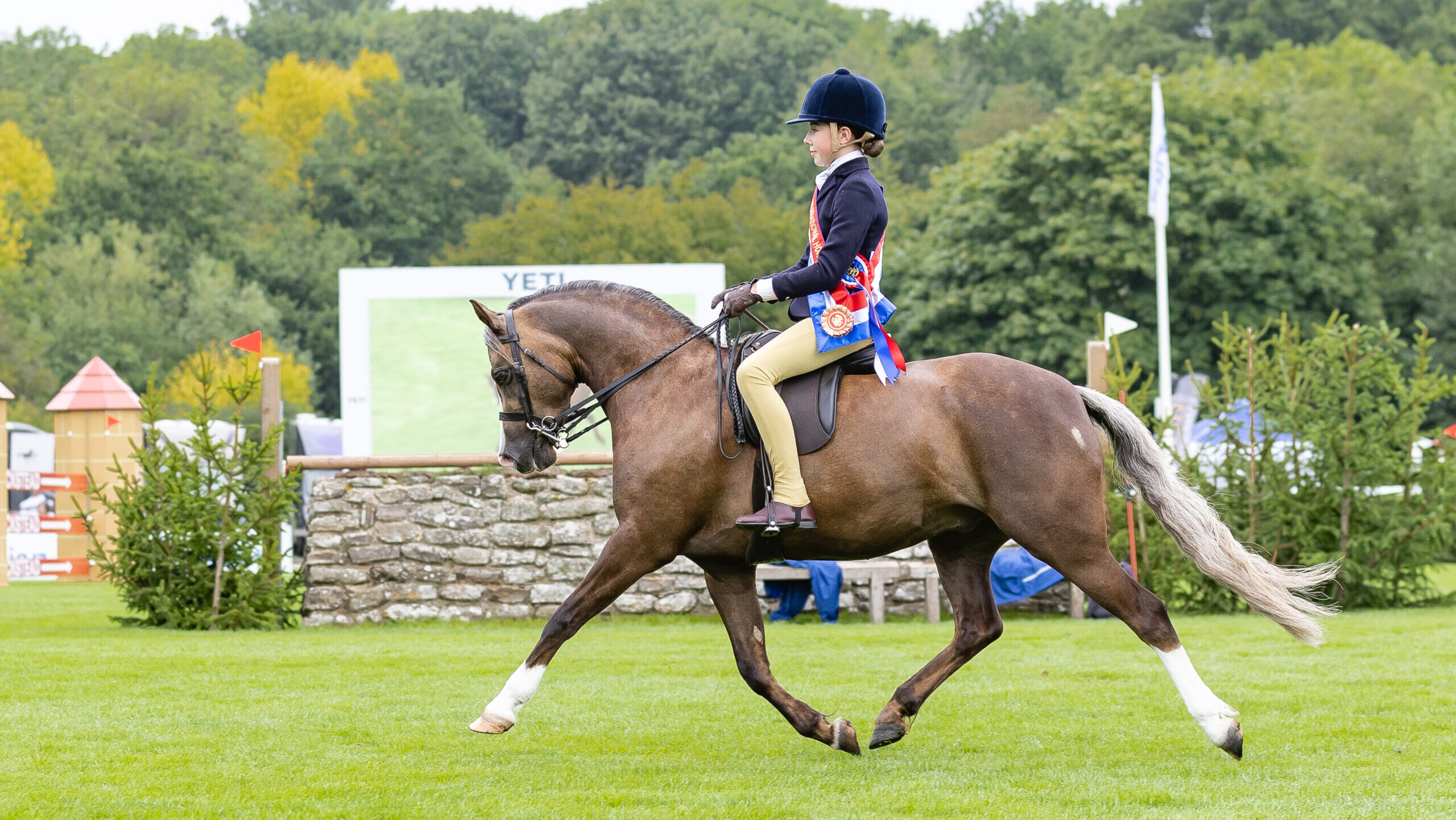 Maisie Kerry Oakes and Cadlanvalley Royal Bronze trot from the ring as M&amp;amp;M junior champion at the Royal International