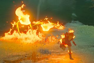 Fire Keese The Legend of Zelda: Breath of the Wild