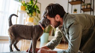 Man kneeling down to cat and cat bumping into his head