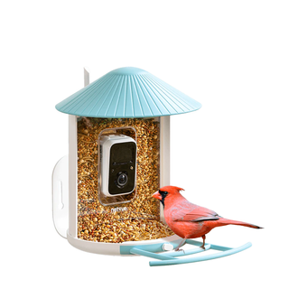 Netvue Birdfy Feeder on a white background