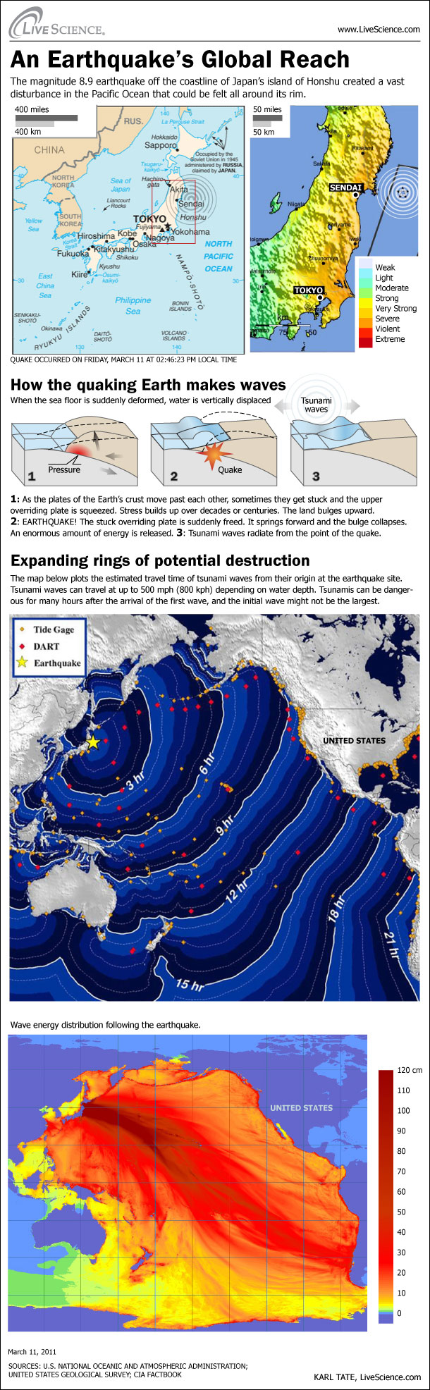 The magnitude 8.9 earthquake off the coastline of Japan's island of Honshu created a vast disturbance in the Pacific Ocean that could be felt all around its rim.