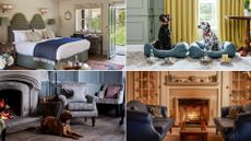 A composite image of four of best dog friendly hotels in the UK in 2023