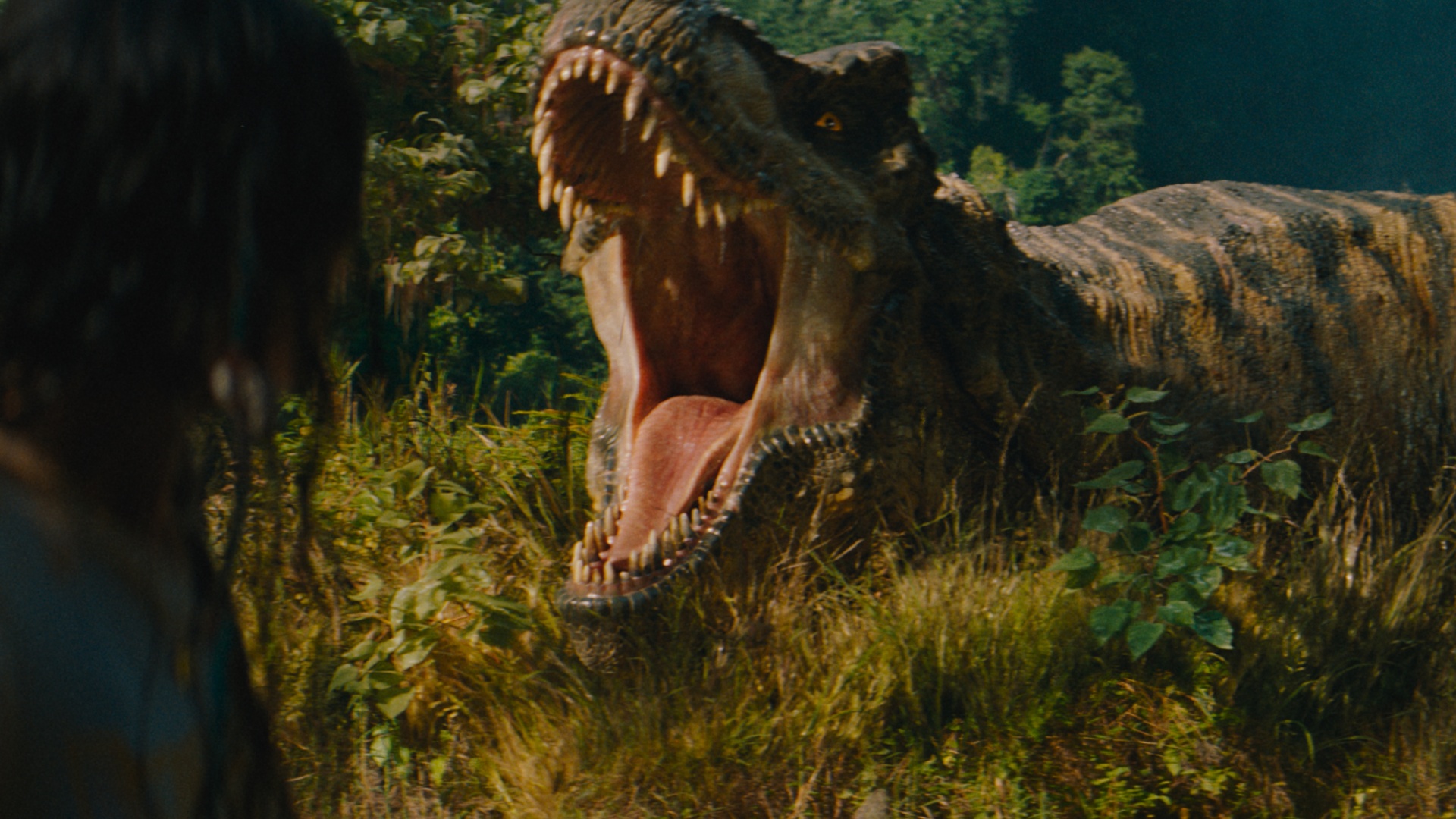 The T-rex in Jurassic World Rebirth