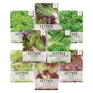 An assorted bunch of lettuce seeds packets