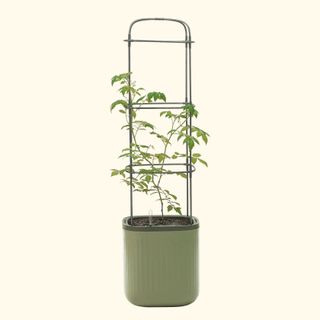 rolling tomato planter pot with trellis attachment