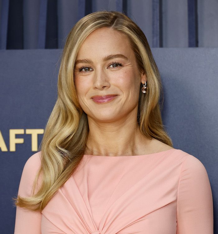 Brie Larson on the SAG Awards red carpet