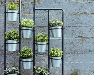 metal stand with pots of herbs attached to it